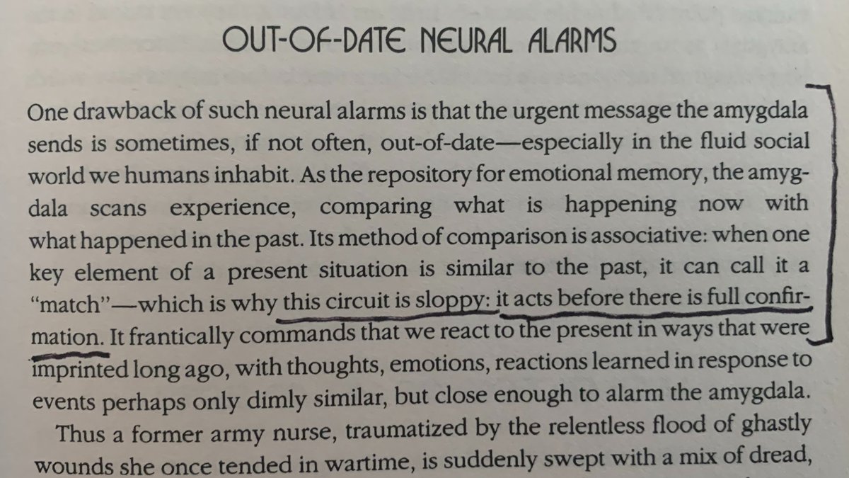 Not only that, but these memories are all flowing together, messy, disorganized, and falsely triggered by a situation that isn't remotely dangerous...provided we mind some vital rules