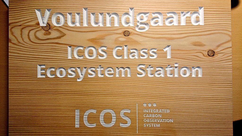 dk_vng_ICOS's tweet photo. Today we received this fine piece of decorated biomass. Thank you  #ICOS #ETC for your very professional supervision and guidance during the labeling process. Have a nice weekend.  #FieldsiteDecoration https://t.co/NfgxzpGbTG