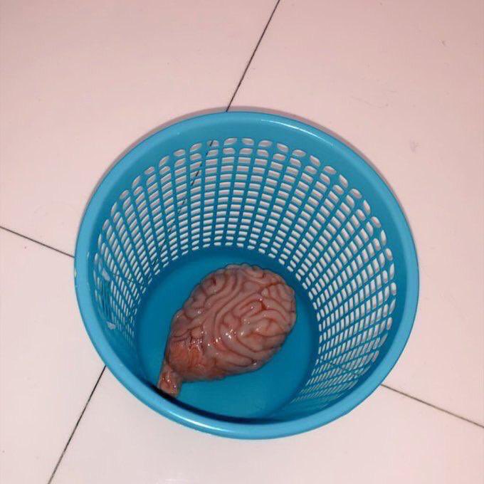 Der Mav (@dermavcr) on Twitter photo 