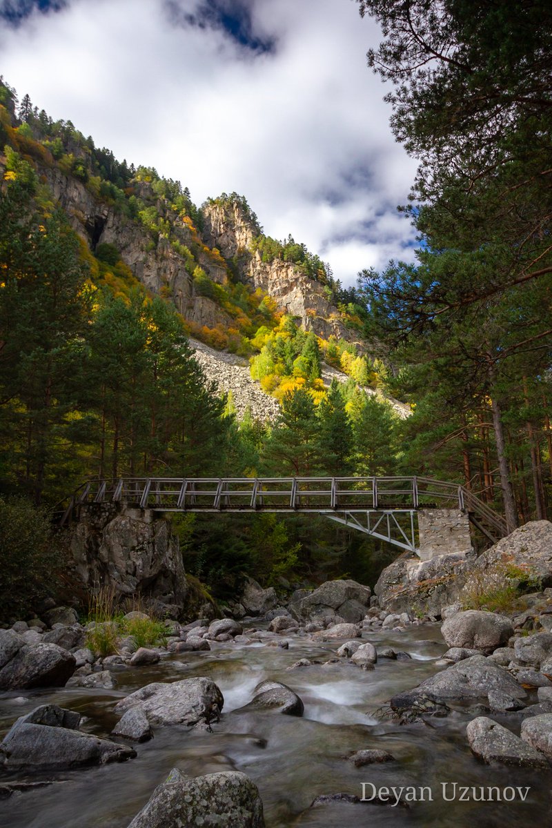 Beli Iskar Eco Тrail, Bridge 3 / Еко Пътека Бели Искър, Мост 3
#splendidnature #natureinspired #naturepicture https://t.co/mvARBdOELZ