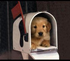 Coming soon to a mailbox near you.... It's our Popular Annual Financial Report.  You can read it on our website too....worthington.k12.oh.us/cms/lib/OH0100…