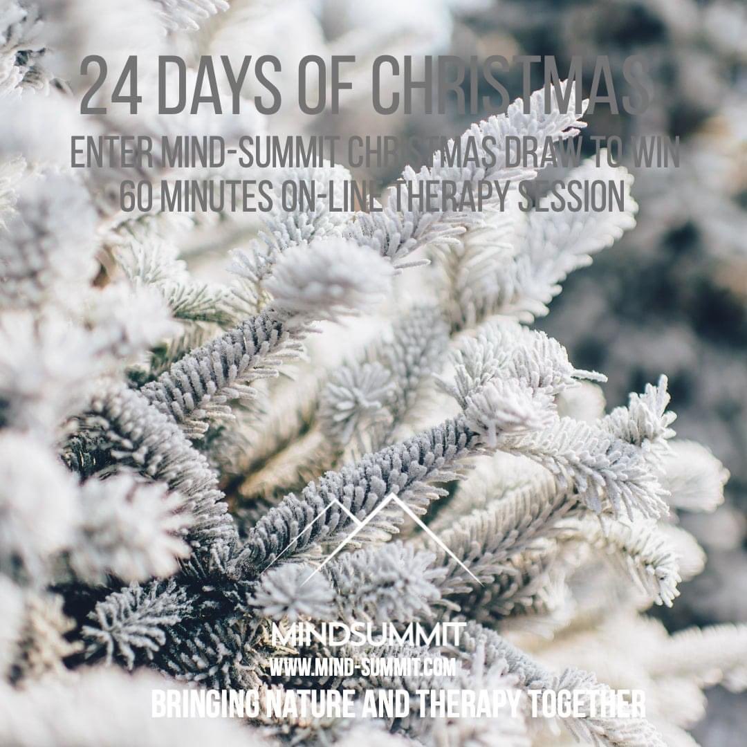mindsummituk's tweet image. On the fourth day of Christmas, I could talk about my feelings on this year that have been weighing me down.
Click on the link below to enter:
mind-summit.com/24-days-of-chr…