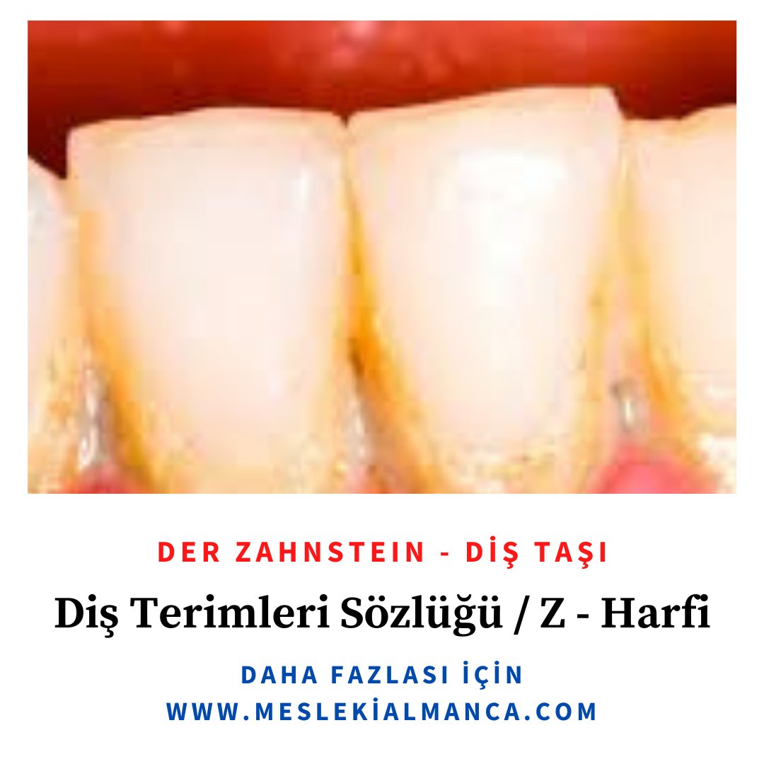 meslekialmanca's tweet photo. Diş Terimleri Sözlüğü / Z - Harfi https://t.co/hMLtynOB8i