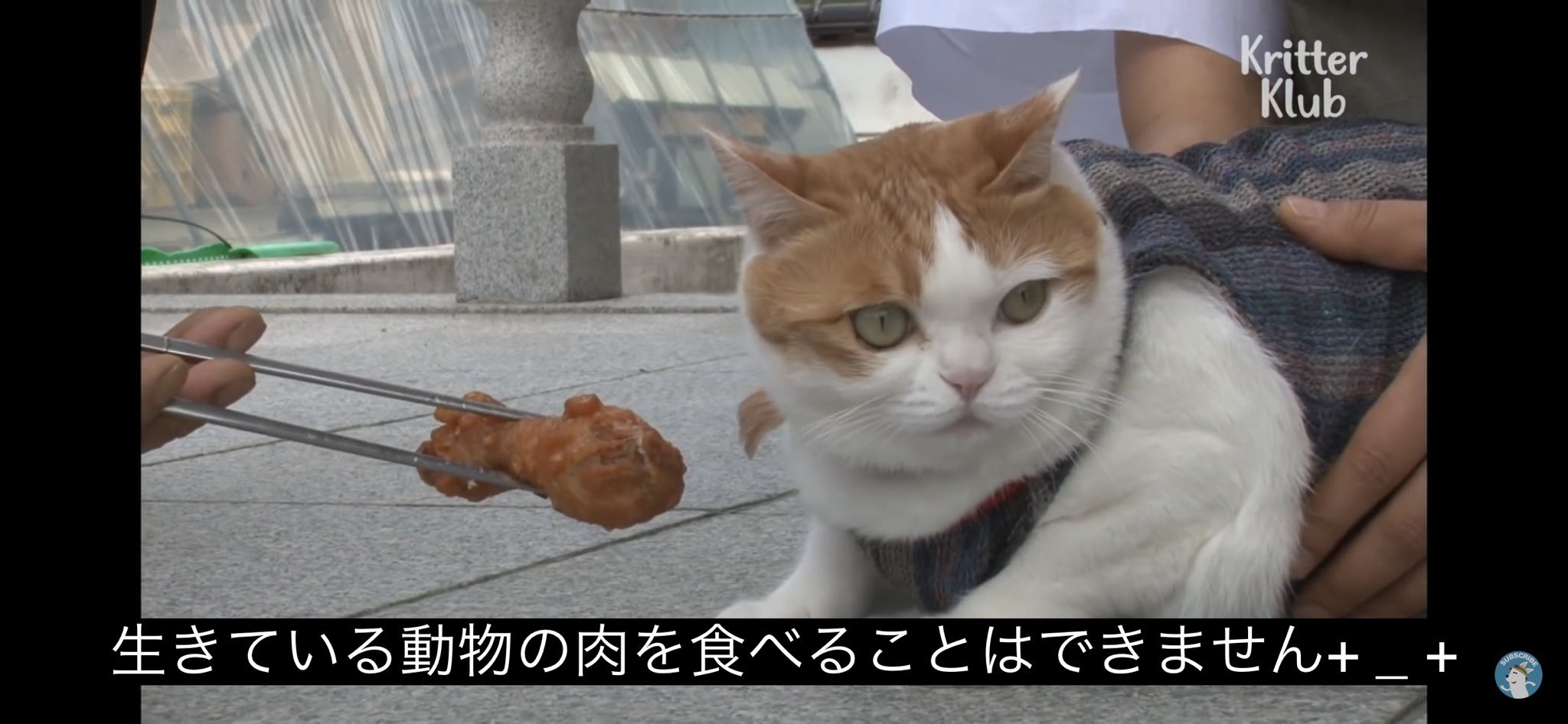 アキ Kritter Sub T Co Hhfwywbw0k Twitter