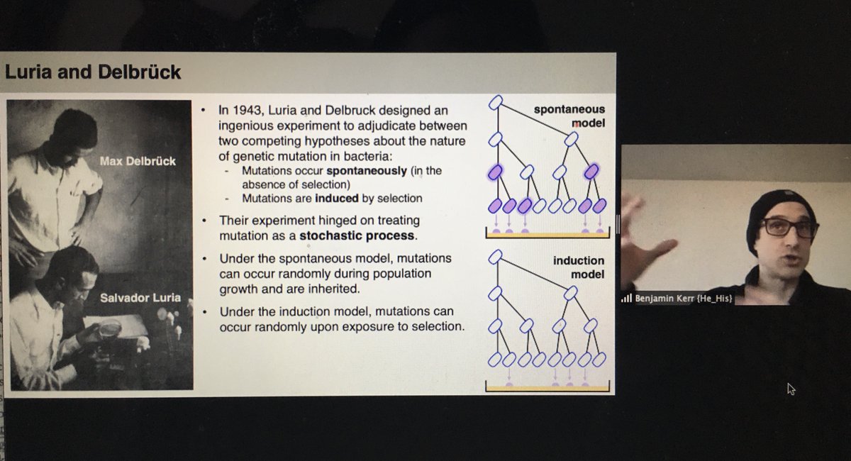 Katie Dickinson tweet media