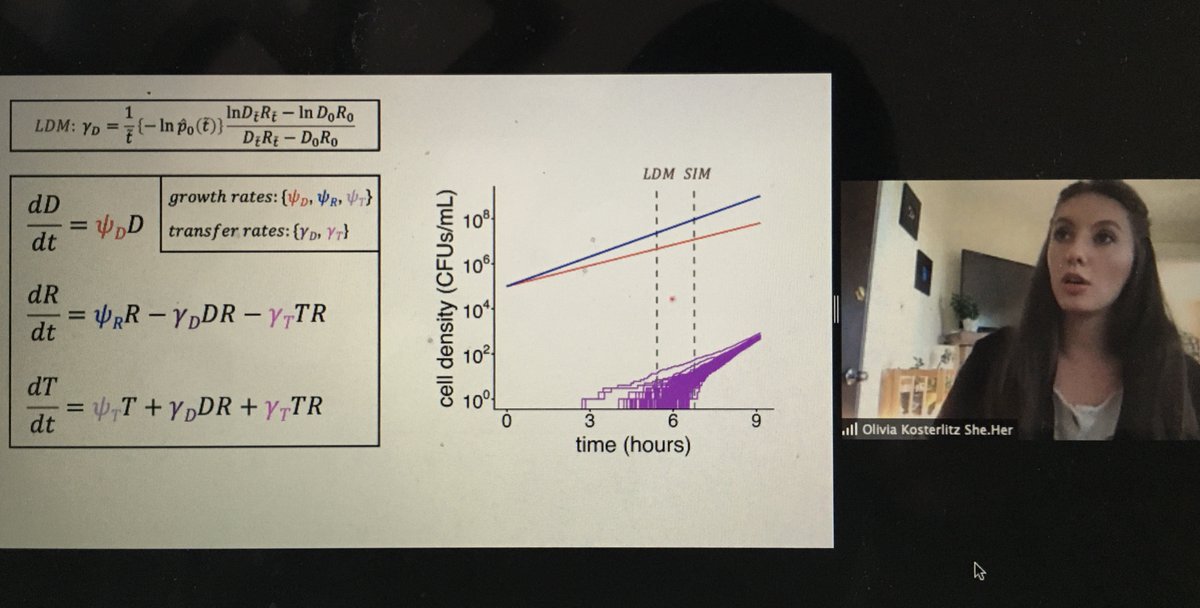 Katie Dickinson tweet media