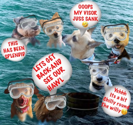 11 #zzst ♦️♦️♦️♦️♦️♦️♦️♦️
I SEE A FEW OF YOU HAVE HAD ENOUGH.... THE WARM WATER SOON SAPPS YOUR STRENGTH,

YOU ALL LOOK SUCH  PROFESSIONALS BOBING AROUND IN THE WATER...

HAVE A REST THEN PERHAPS YOU CAN GO GET SOME MORE