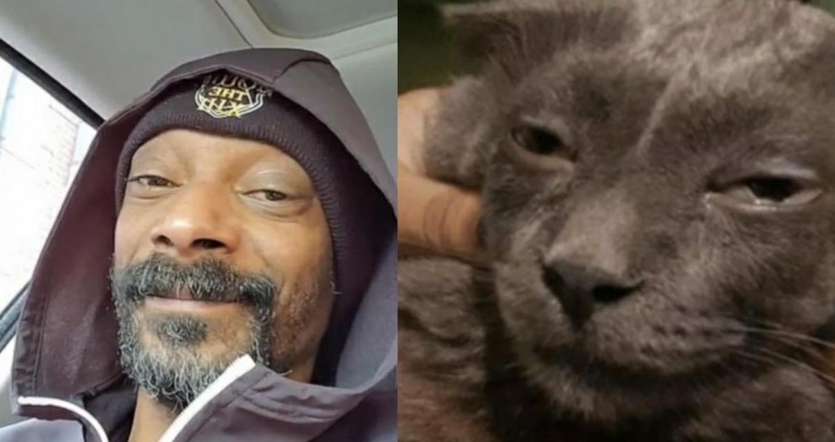 ordure (@ordurebizarree) on Twitter photo 