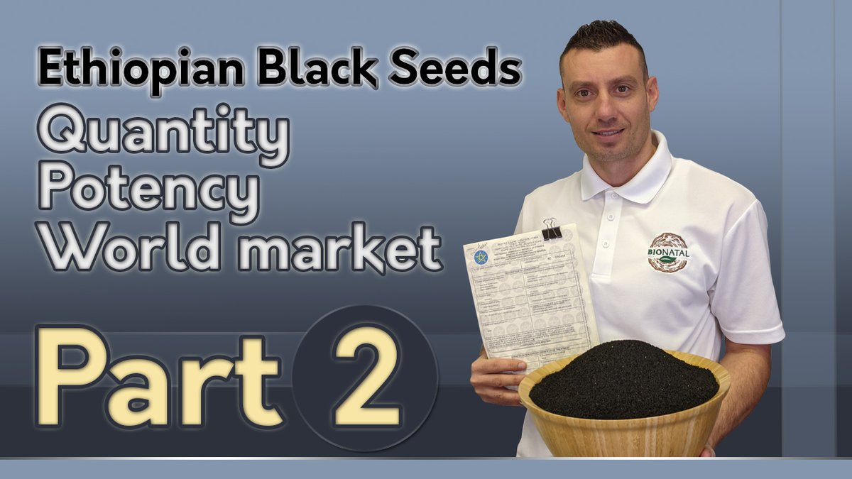 BionatalI's tweet photo. Ethiopian Black Seeds. Quantity, potency, world market. Part 2.  On our YouTube Channel: https://t.co/4R5EmLJNjN   #blackseedoil #bionatal #nigellasativa #investigation #holistic #immuneboost https://t.co/mchLnBMyhs