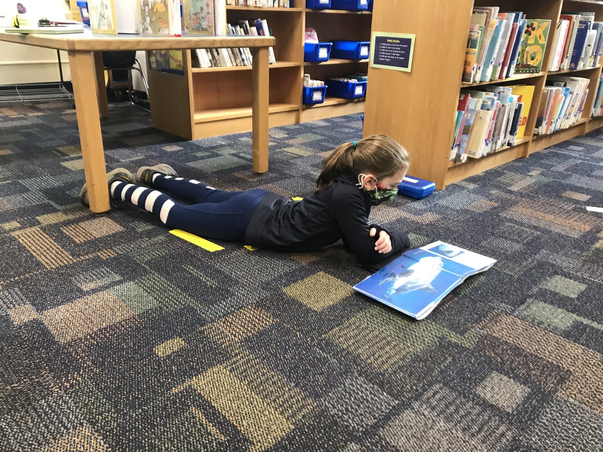 HubbardReads's tweet photo. Readers doing what they love best 💕💕💕@hubbardteacher #readreadread #welovelibrary https://t.co/TQQZ3t1MBv