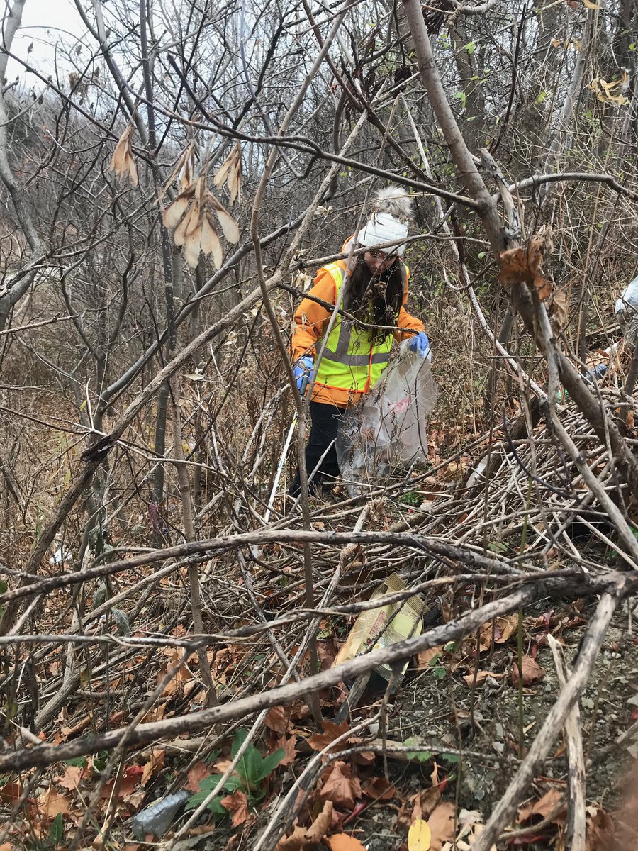 JoinCoral's tweet photo. Back at it tomorrow for another take Elmcreek Park. Come out and join in, lets continue trying to keep our parks healthy and clean! Shoot us a message if you’re interested🌱 https://t.co/n58j6TwnSj