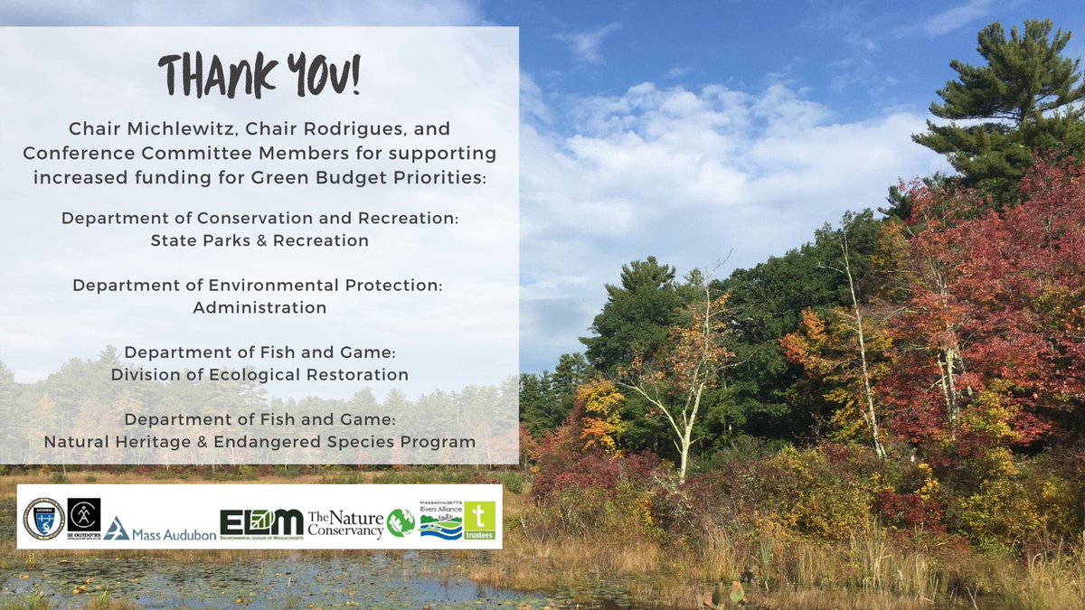 MOSES_MASS tweet media