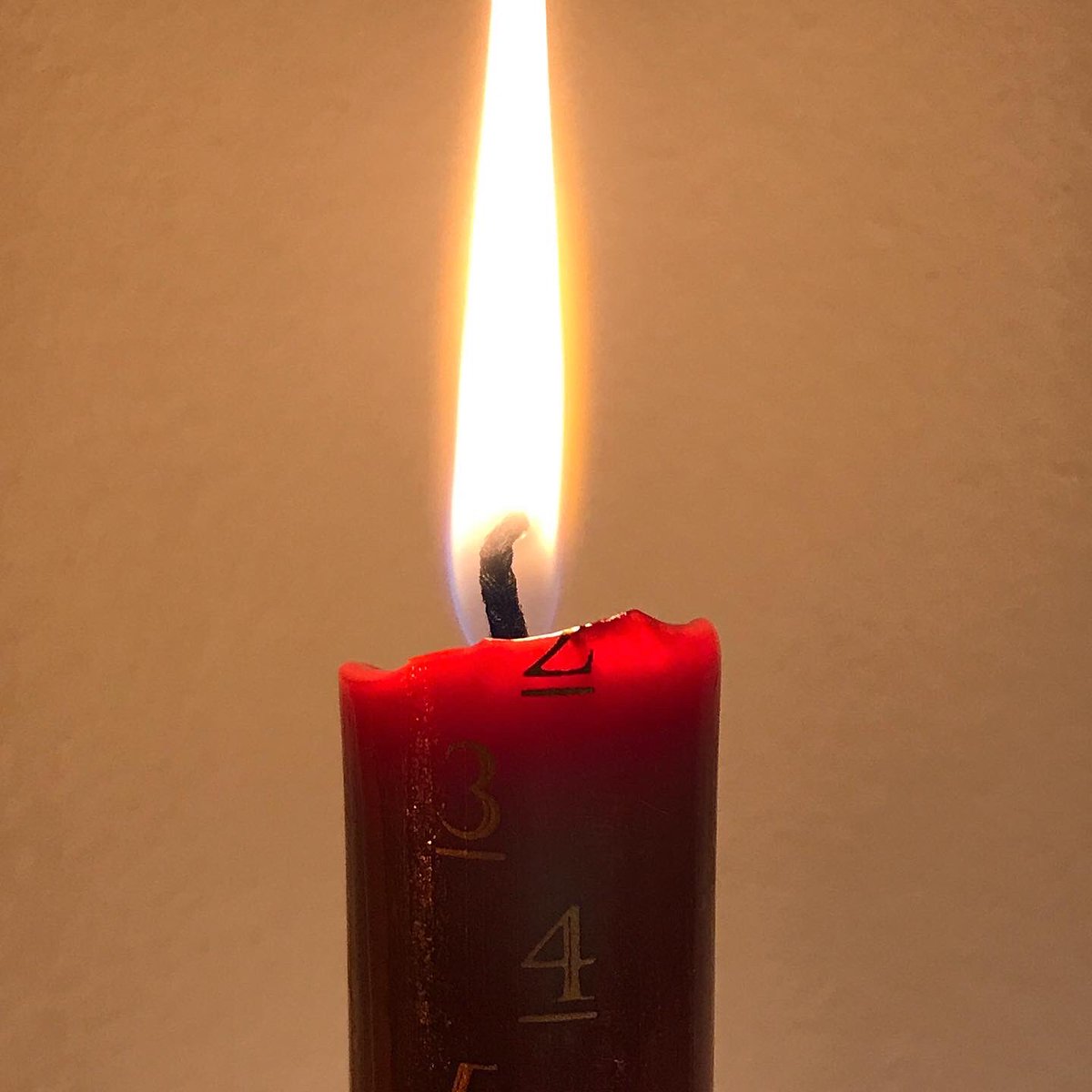 Framesandboxes's tweet photo. No-one loves Christmas more than Molly ...and she’s counting down with this advent candle

We were late sparking up this beauty so we’ve burnt through a few days this evening

If you fancy getting your own advent candle they’re £4.50 in the gallery and available in red or ivory https://t.co/6nE65sq8EU