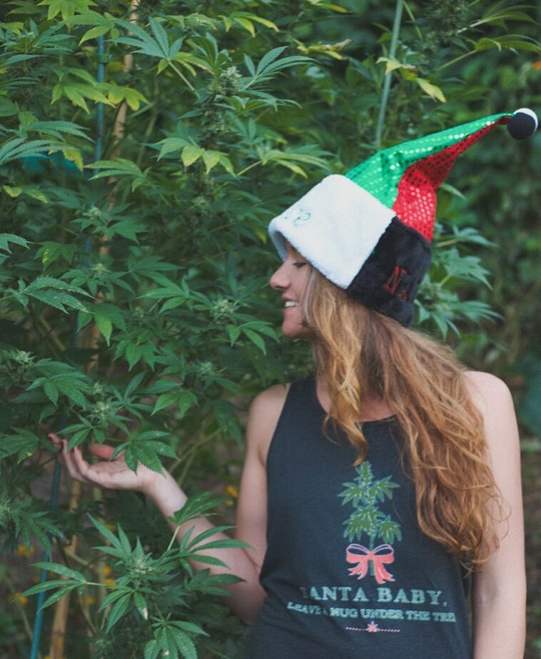 ‘Santa Baby, Leave a Nug Under the Tree’ 🎄
... for me 🎶
I’ve been an awful good girl 😏
Santa baby, so hurry down the chimney tonight! 🎅🏽
•
This holiday graphic was designed with one of my favorite christmas songs in mind, Santa Baby by Eartha Kitt, s… instagr.am/p/CIY8xfNpfhH/