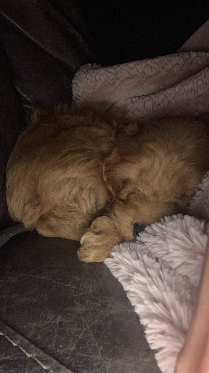 bobbieperry83@gmail.com tweet media