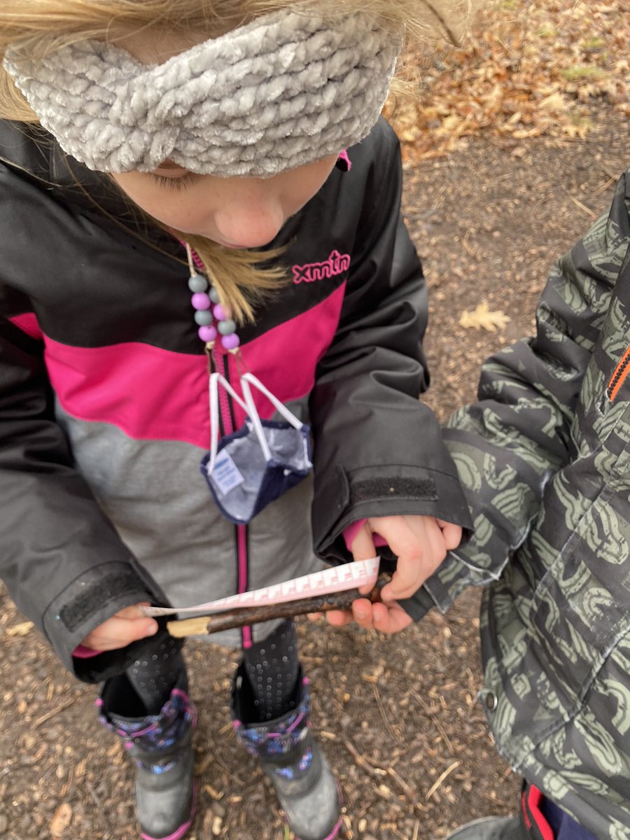 MmeClarkeL's tweet photo. Ss were challenged to measure and create an Evergreen Tree out of branches. They began measuring a branch 1m in length followed the rest in centimetres. Art, Math, Science &amp; #wellbeing @clarksdalehdsb @CreativeSTAR #outdoorlearning #FunFriday https://t.co/3oWeDEvmWs