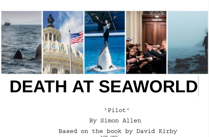 This is the Title Page for the DASW Pilot script. I think it is really boss :-) Those photos (yes, that's Chuck Schumer, who has nothing to do with this story, but cut the Brit producers a little slack here) sum up the series narrative so well.