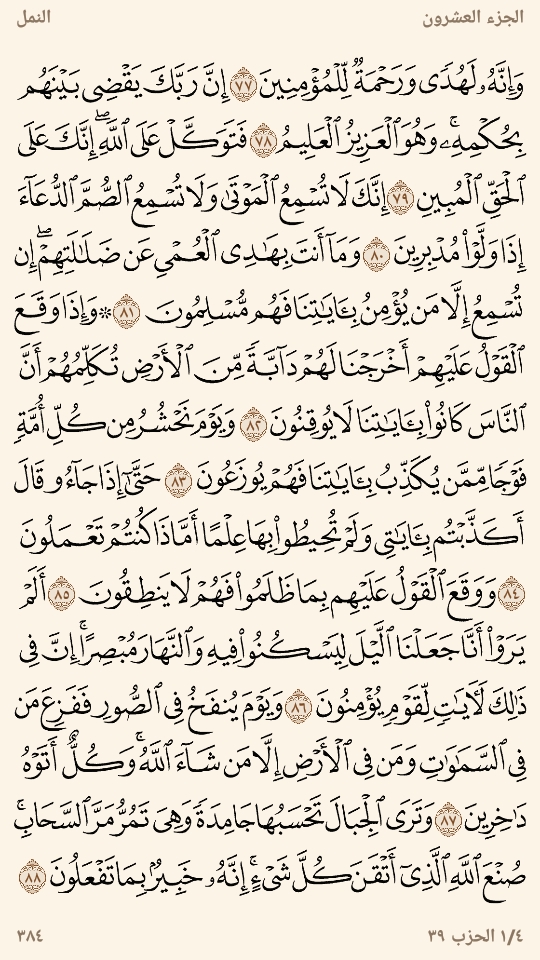 AlMosahf's tweet photo. ورد السبت https://t.co/OuY6LBvWIm