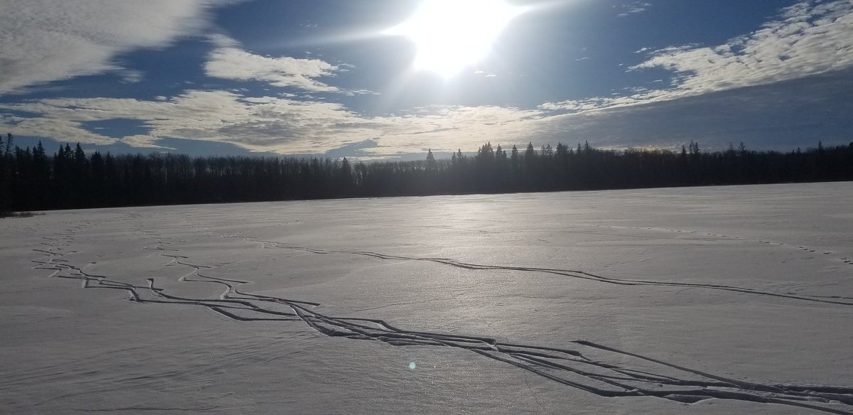 Happy Sabbath! #bdnmb #SomeGoodNews #Rest