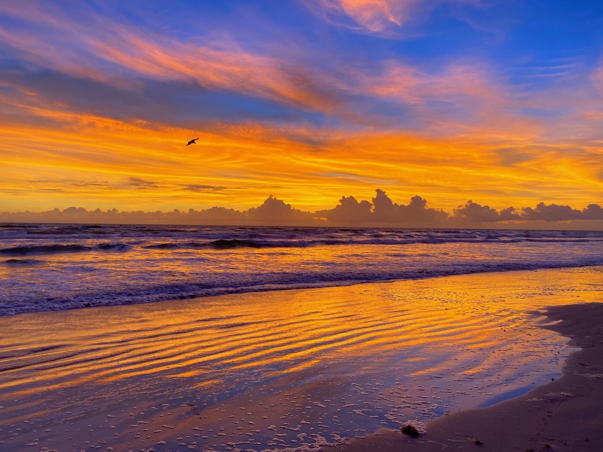 📸 New on the Website Today 💻#OceanWalk Condos For Sale #NSB

🏊‍♀️ Swimming Pools
🧖🏻‍♀️ Spas &amp; Saunas
🏋️‍♀️ Fitness
🎾 Tennis
🚘 Traffic Free Beach
🅿️ Garage Parking

🛑 STOP👇🏻Click Here👇🏻
bit.ly/OceanWalkCondo…

#MoveToNSB #MoveToFlorida #NewSmyrnaBeach #Florida #Ocean #Beach #REALTOR