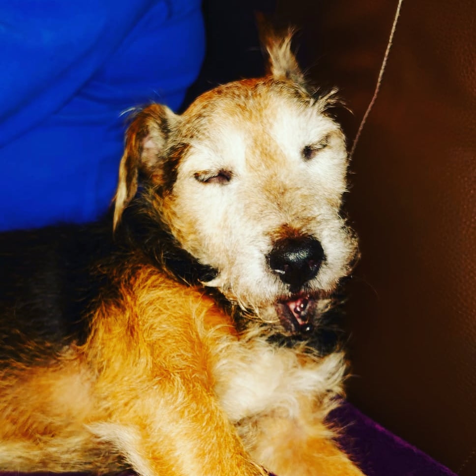 Me tomorrow after watching the match with as many pints as I can sink in two hours...