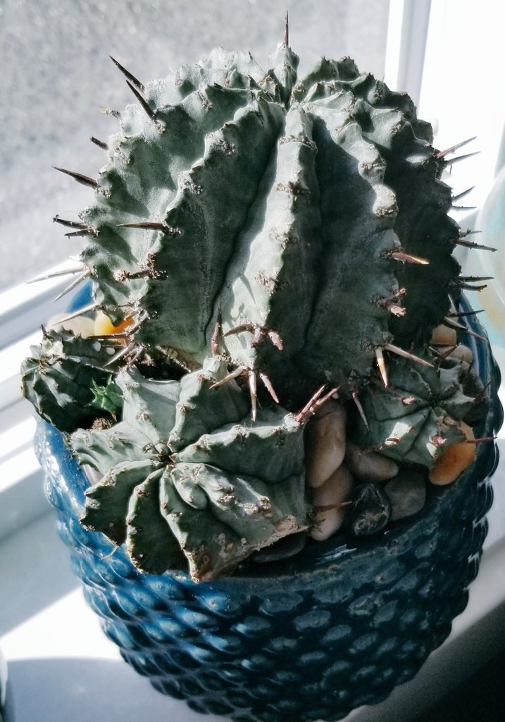 Amanda Ashlee (@amandaashlee5) on Twitter photo 