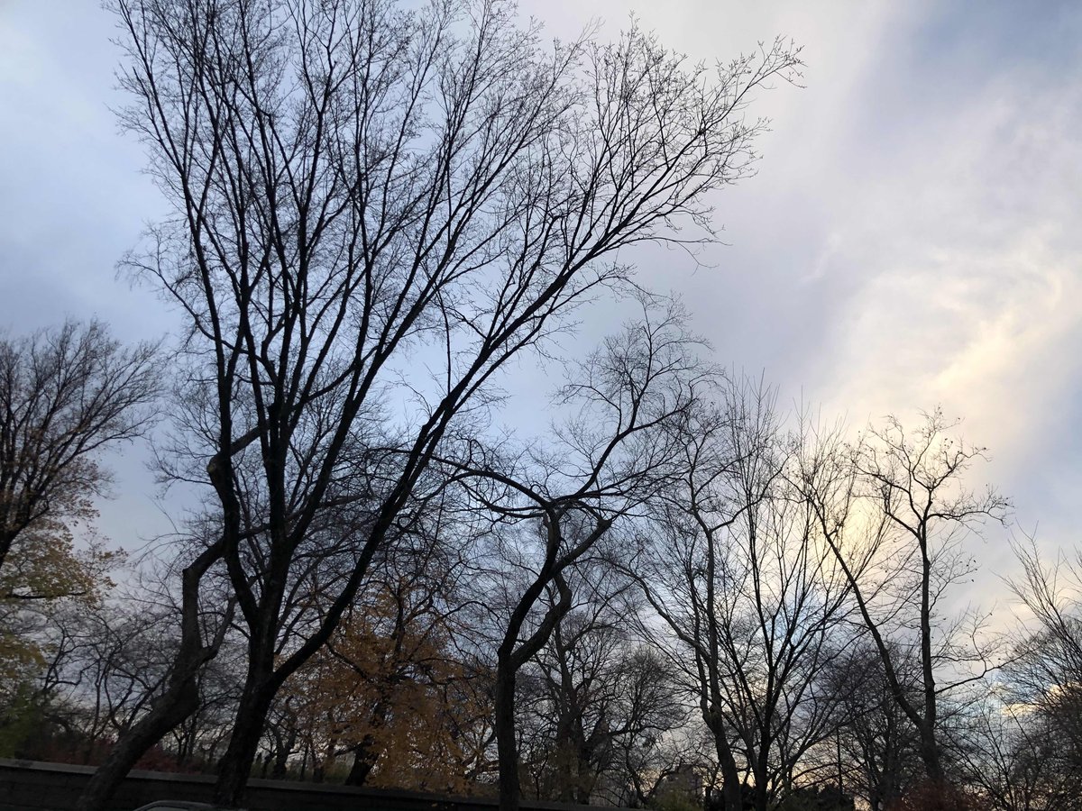 feldstej's tweet photo. #ASH20 #ASHFromHome #ASHViews #ASHWellness #ASHwalk #FridayViews #FridayThoughts #FridayMood #FridayVibes #TGIF #HappyFriday https://t.co/IZh5zlJlUr