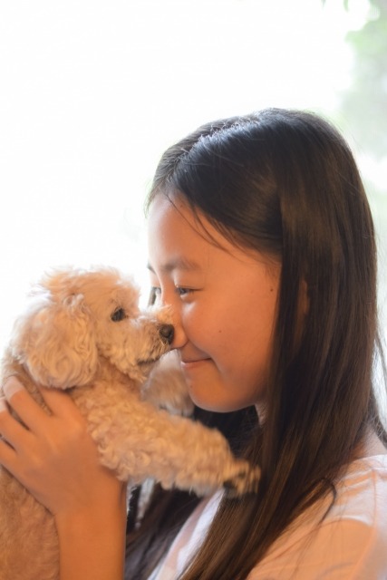 تويتر ペットサロン ル シアン 宇都宮 على تويتر イギリスのことわざ 子供が生まれたら犬を飼いなさい 子供が赤ん坊の時 子供の良き守り手となるでしょう 子供が幼年期の時 子供の良き遊び相手となるでしょう 子供が少年期の時 子供の良き理解者となるで