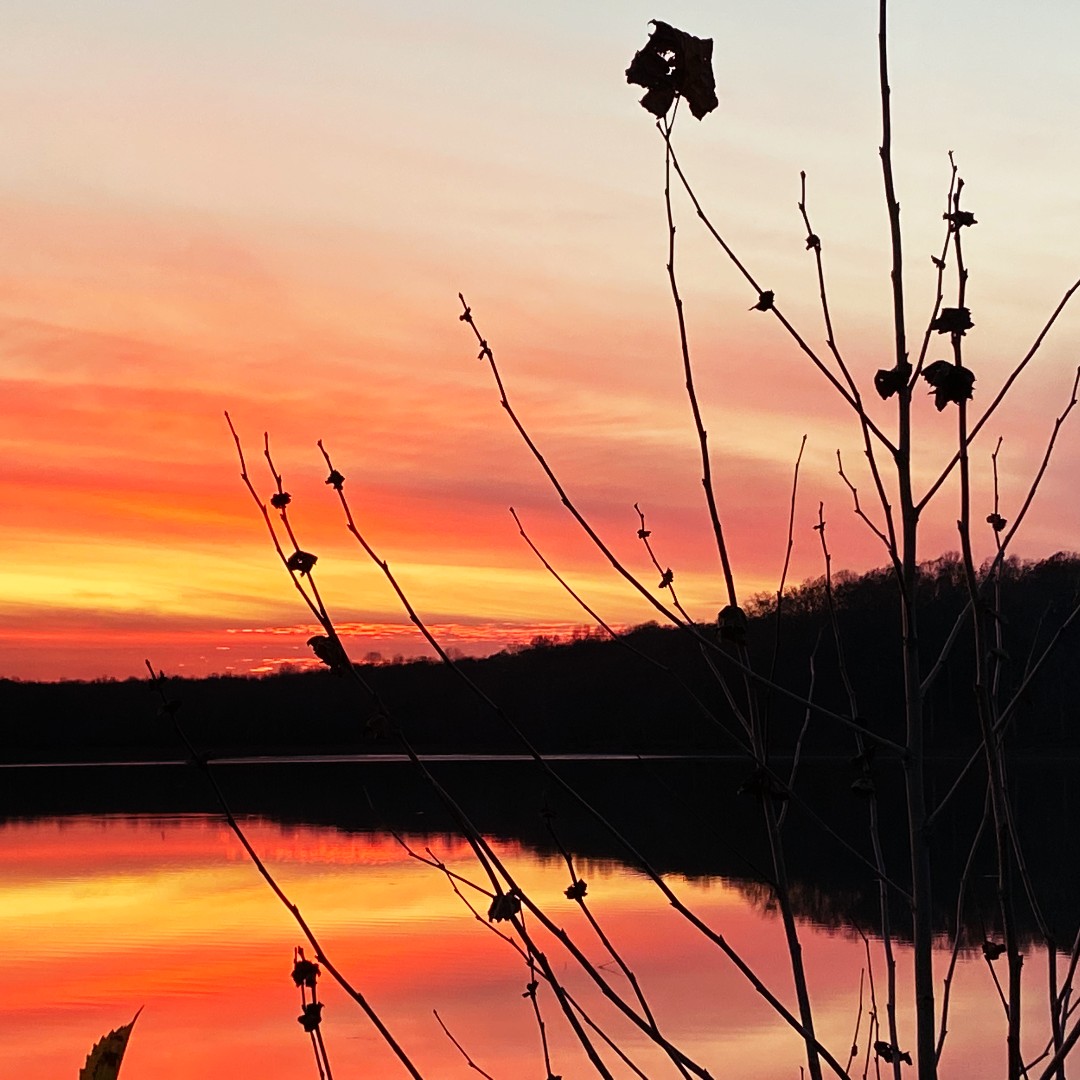 Woodlands Nature Station in LBL tweet media