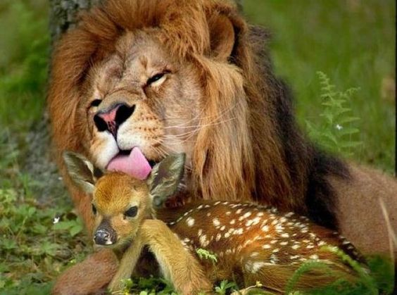 As you look at me, please never fail to see the One making me, and therefore your vision will never again be the the same!
Onaldo