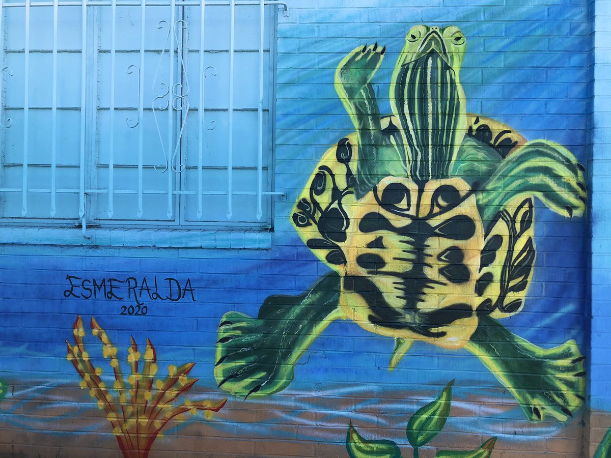 ArtistEsmeralda's tweet photo. I decided to sign my name right next to my favorite animal. The turtle. Its a red eared slider. I have 4 of them at home. 😊 #lovecityheights #theavenuemuralproject #artistesmeralda #esmeraldarobles #sandiegomurals #sdart619 #turtlemural #turtleartwork #redearedslider #murals https://t.co/IdDz48ZUxk