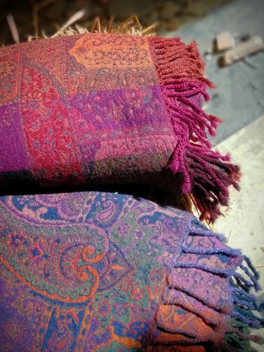 TAlpujarra's tweet photo. Elegir encontrando 👀 tu estilo personal va mucho más allá de saber lo que quieres ponerte 🤷. Elegir entre un #Chal de #lana precioso y otro más bonito todavía 🙄. #Experimenta sin parar. 🥰 Esta semana toca los Maxi #Chales por su tamaño 📐 #Capileira - #Granada #teencanta https://t.co/CeuA12ntio