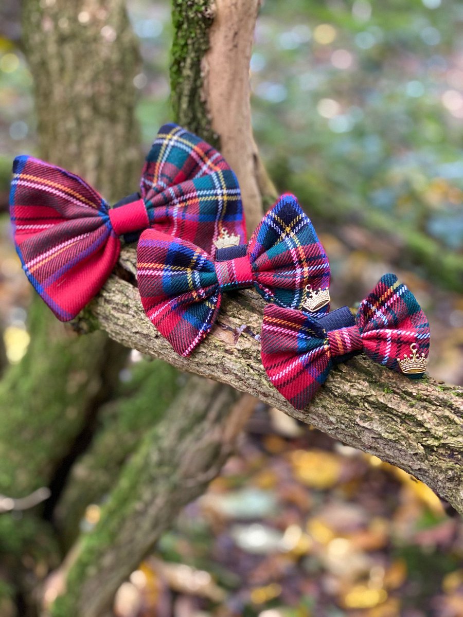 HarrieHattie's tweet photo. Excited to share this item from my #etsy shop: Highland Tartan - Royal Stewart - Red Christmas - Luxury Dog Cat Bow Tie - British Designer Pet Couture- House Of Harrie Hattie - Crown https://t.co/aT3mZveVyK https://t.co/YnWpdu0hcE
