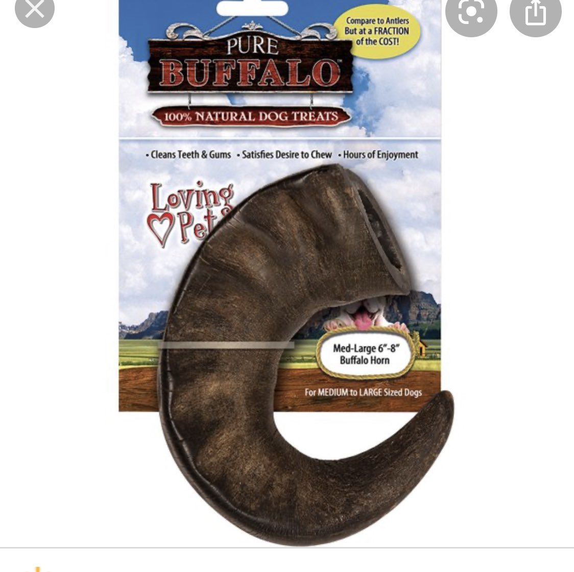 jjmmrr2's tweet photo. @MostDopeTweets This thing was also a life saver.. you can get it at Walmart. They’d rather chew this than the woodwork/drywall https://t.co/8PkYewmxjG