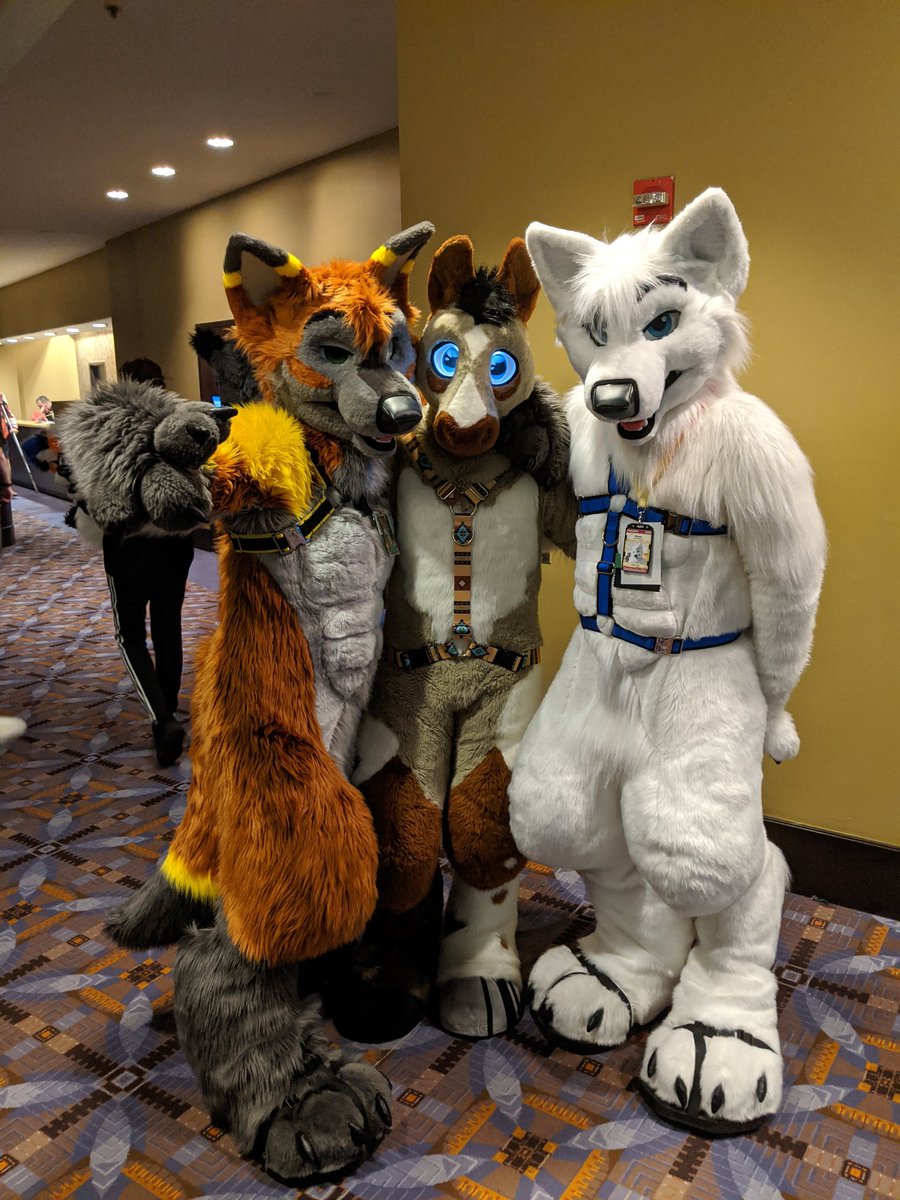 PatchesTheHorse's tweet image. You meet the best people @FurFest! 🥰

#mff2020 #FursuitFriday
