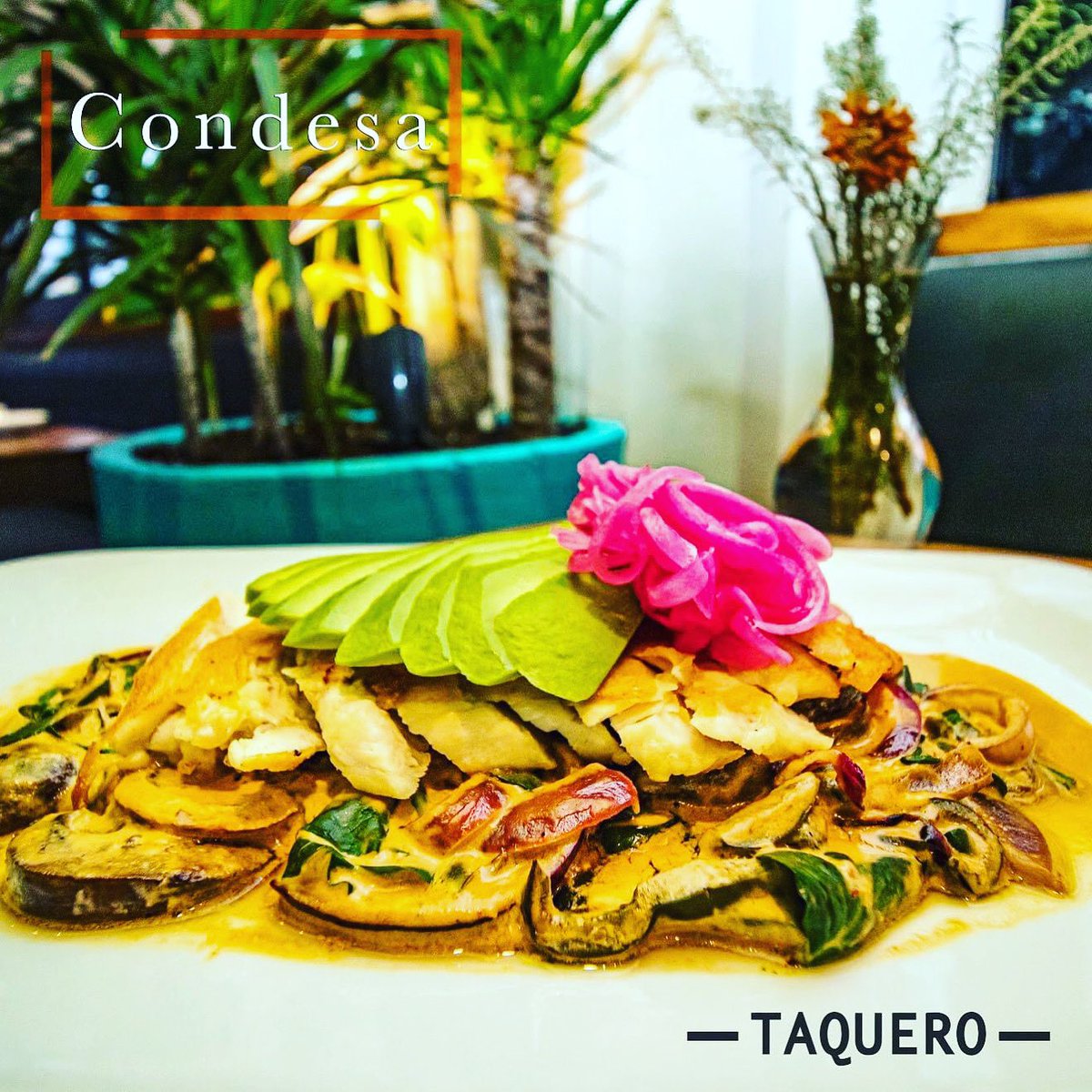 You will find elegance and excellent flavor in our dish: Condesa.✨✨✨
Grilled chicken breast served over delicious vegetables, along with an irresistible.

#mexicancuisine #foodie #gourmet #delicious #enjoy #taquerodallas #dallas #texas #dallastx