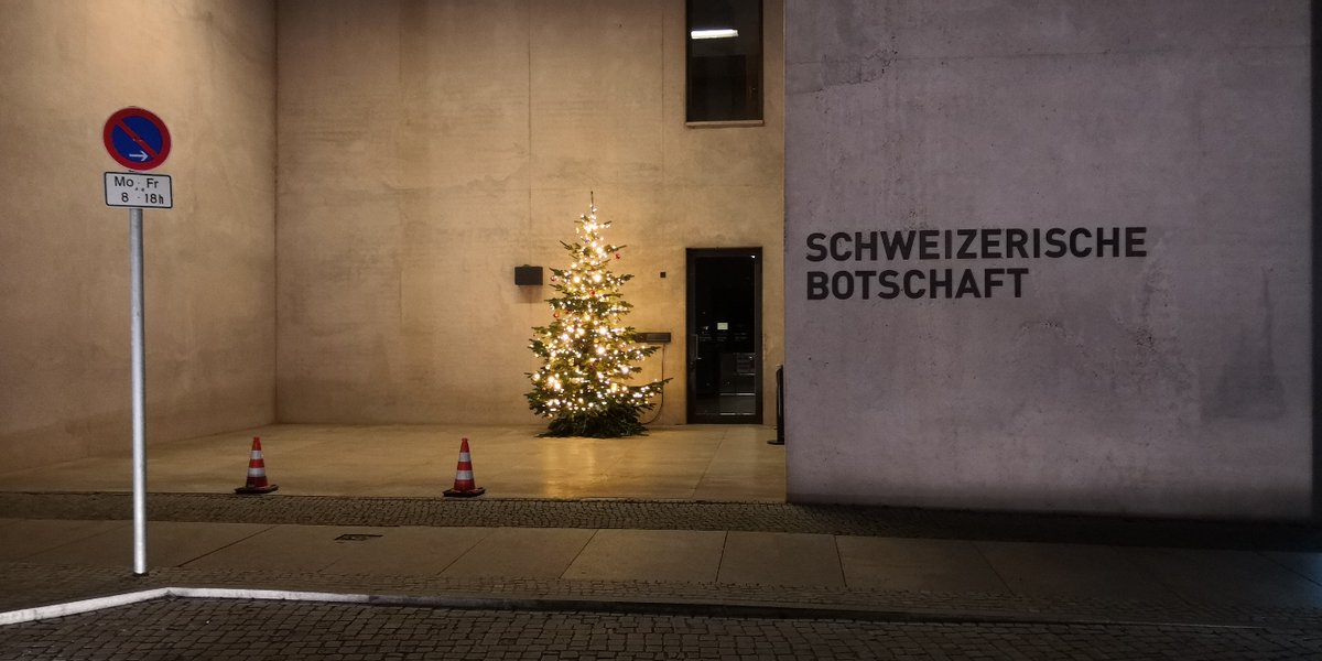 Probably the saddest Christmas tree in all of Berlin :(