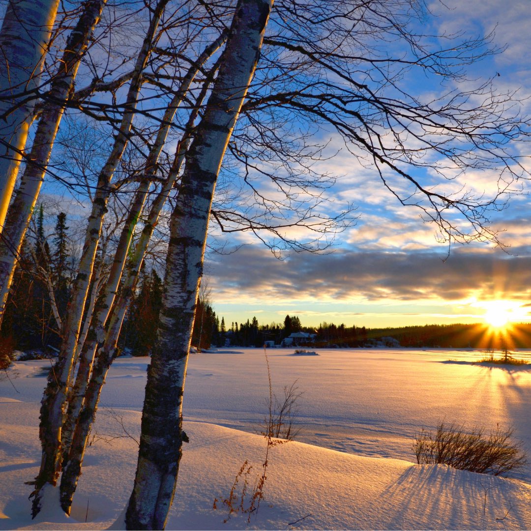 CoachMel9's tweet photo. I want to play around with freedom
and cuddle with this magnificent scent of purity. 
Let me just fall in love with the winter sunrise coming right on time...
#WritingCommunity #Writer #WriterLift #writing https://t.co/VYV2GVTNZg