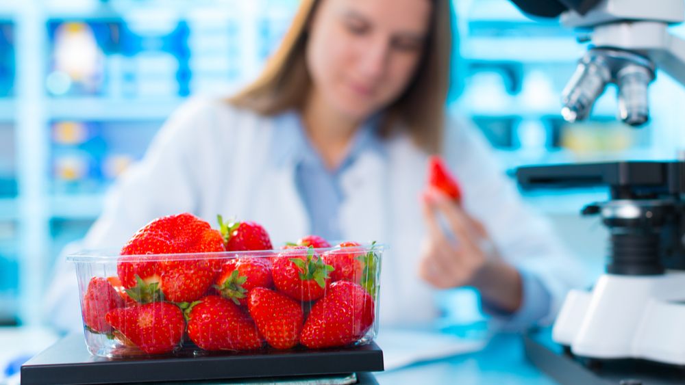 YamatoScaleUK's tweet image. Thinking about your plant’s next food processing project? Then our handy guide will help you consider everything involved to create an effective proposal.  buff.ly/3hlrE65 #foodmanufacturing #foodprocessing #projectproposal #projectmanagement