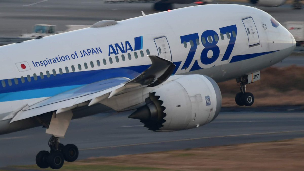 sshze's tweet photo. 2019-01

 #B787をTLに貼ろう
#ja817a #a788 #b787 #ana
#hnd #rjtt 
#nikond500 #nikkor https://t.co/bEChQSvMPv