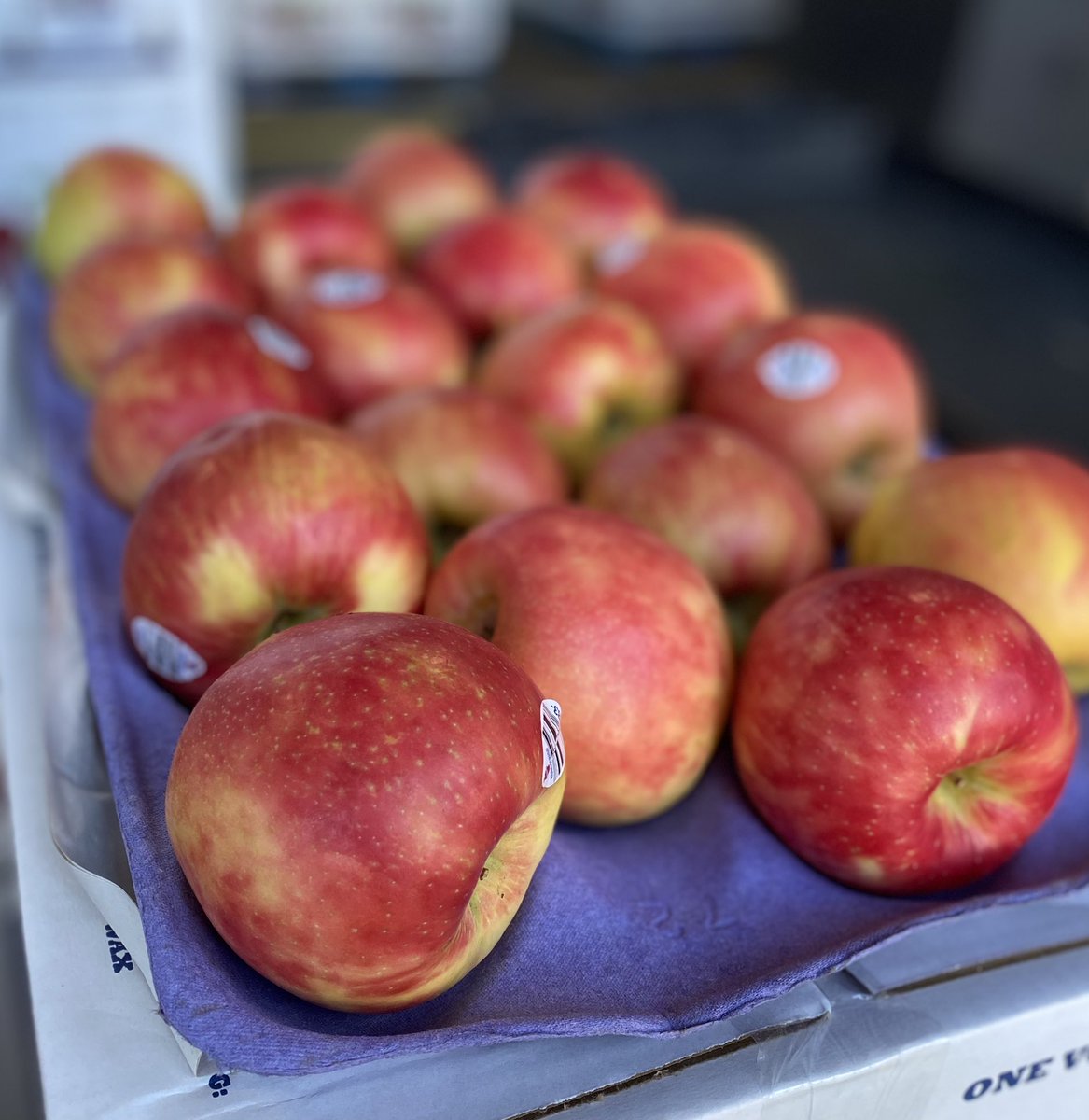Some nice looking #organic #honeycrispapples I looked at today for an account. I do love the look of a nice organic apple and how fresh they appear. #apples