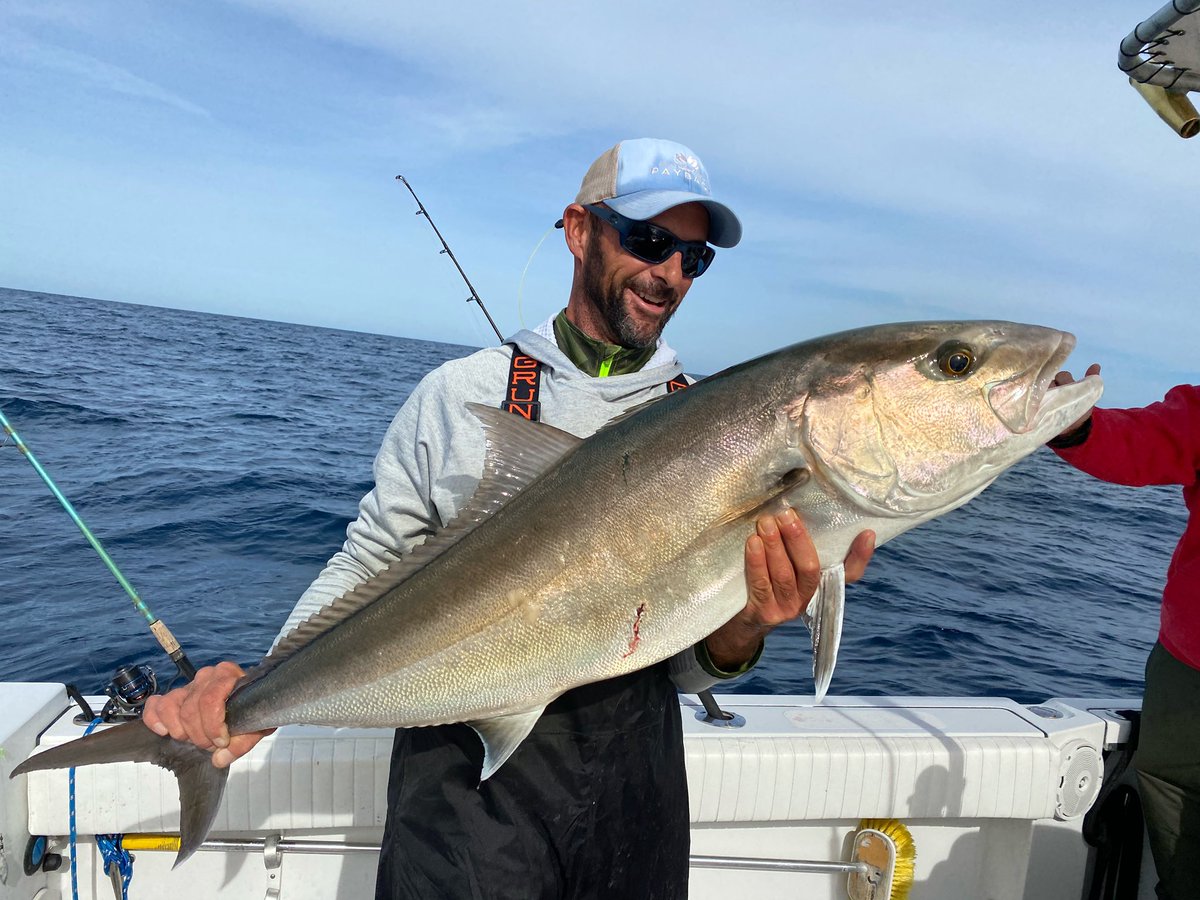 Chip Michalove tweet media