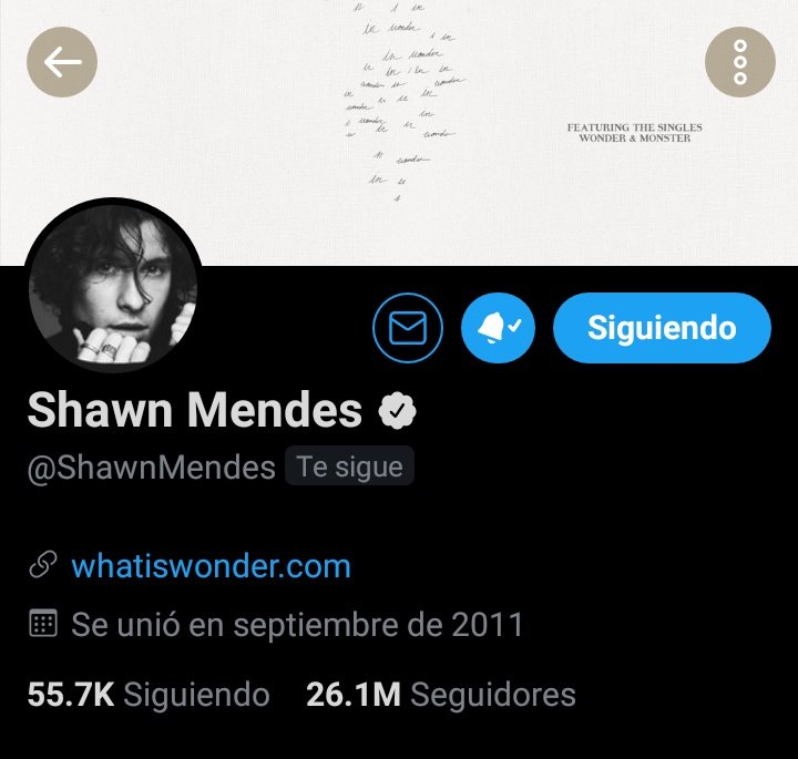 VikoFangirl's tweet image. .@ShawnMendes please follow some fans who retweet and reply with #Wonder