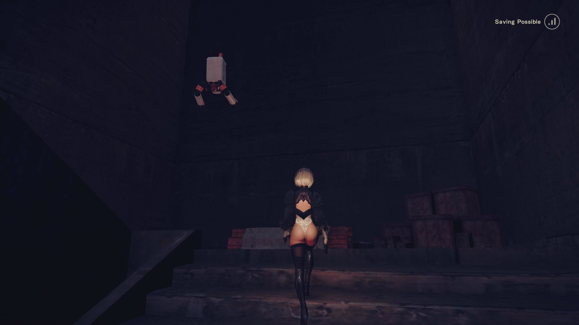 Nier backwards best sale compatible