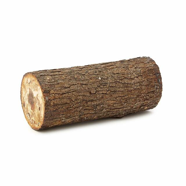 LavenderRare's tweet photo. I'm sorry, but I need to cancel you.
#logisoverparty https://t.co/RRque3xKRX