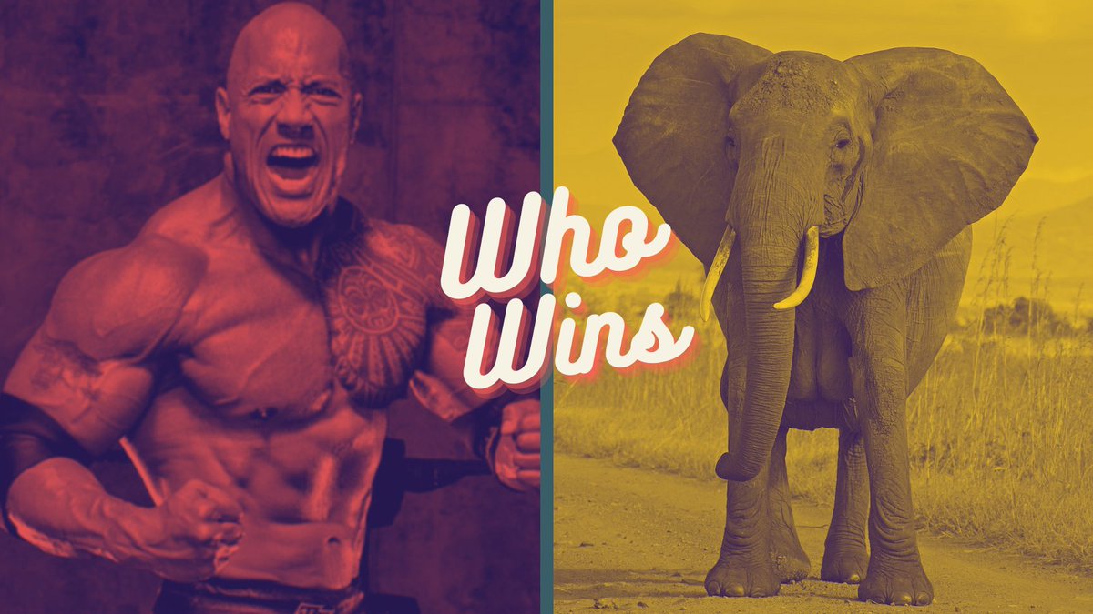 WhoWins tweet media