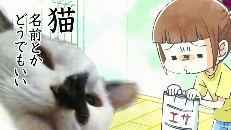 ぐでたか 犬と猫どっちも飼ってると毎日たのしい 10話 複数名前呼びと犬マシンガン 良い意味で花澤犬だからこそ成り立つおバカ感 複数名前呼び無反応と猫マシンガン 良い意味で杉田猫だからこそ成り立つツンデレ感 まぁ両方ともかわいいから良し 犬 ぐでたか 犬と猫どっちも飼ってると毎日たのしい 10話 複数名前呼びと犬マシンガン 良い意味で花澤犬だからこそ成り立つおバカ感 複数名前呼び無反応と猫マシンガン 良い意味で杉田猫だからこそ成り立つツンデレ感 まぁ両方ともかわいいから良し 犬
