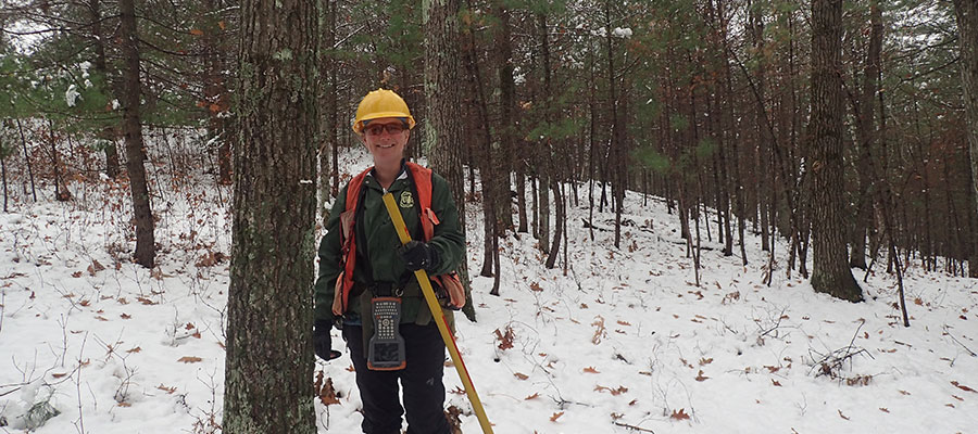 Northern Research tweet media