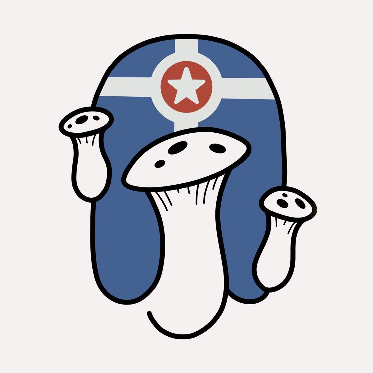 CCMushroomCo (@circlecityfungi) on Twitter photo 