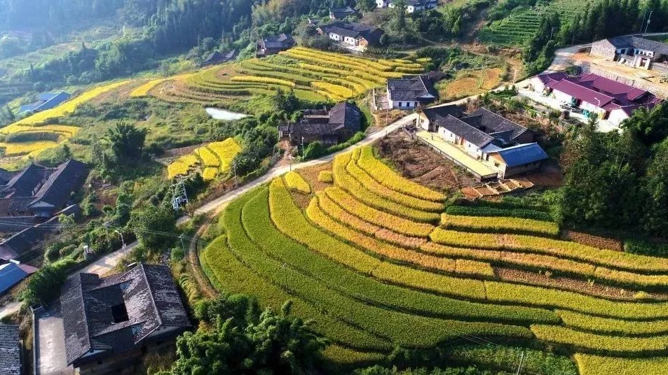 cgtnenespanol's tweet photo. Haciendo uso de sus recursos naturales y, al mismo tiempo, manteniendo la originalidad del antiguo pueblo, #Meishe ha sido una de las aldeas más hermosas de la provincia china de #Guangdong. #China #Turismo https://t.co/NfPW2dABWU